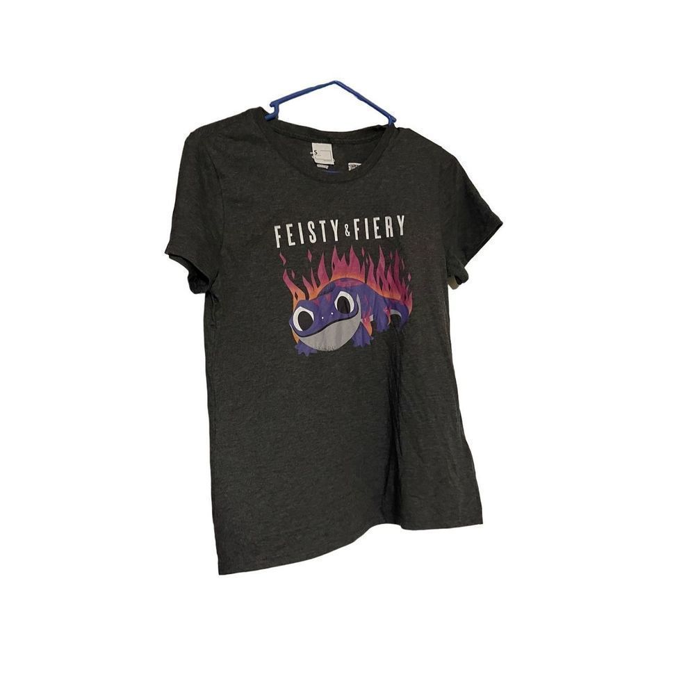 Disney Frozen Bruni gray Tshirt small fiery & feisty
